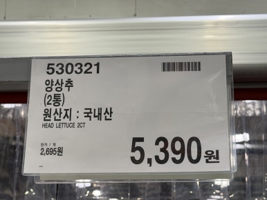 양상추 현장 사진