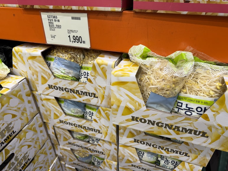 무농약 콩나물 현장 사진