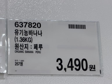 유기농 바나나 현장 사진
