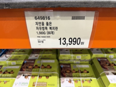 자연을 품은 자유방목 복지란 현장 사진