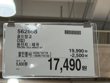 골드망고 3입 원산지 : 태국 현장 사진
