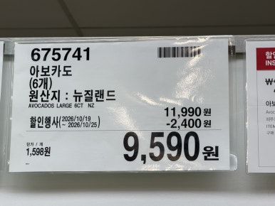 아보카도 6개 현장 사진