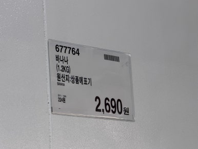 바나나 현장 사진