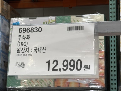 무화과 현장 사진