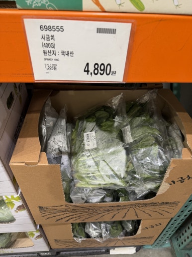 시금치 현장 사진